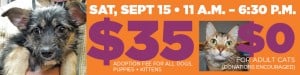 KS Humane $35 Adoption Event