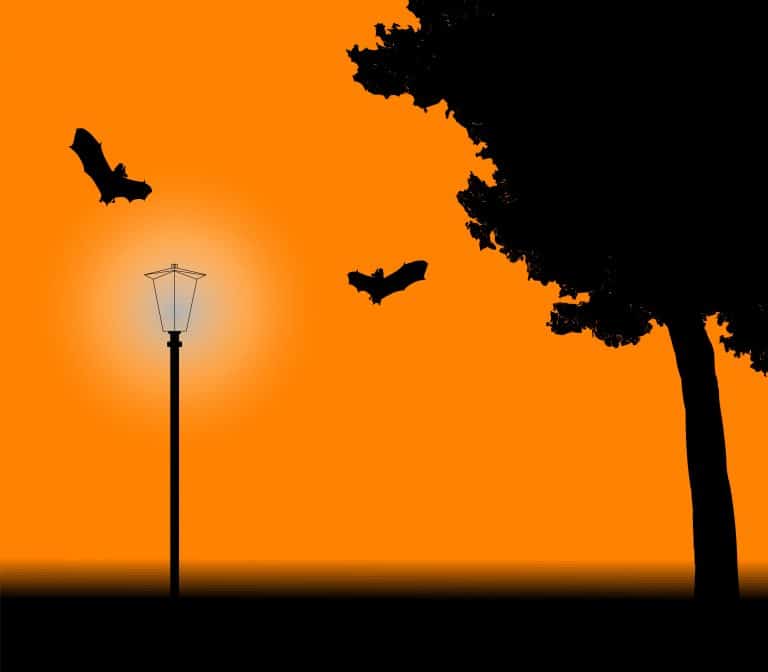Halloween bats flying near tree