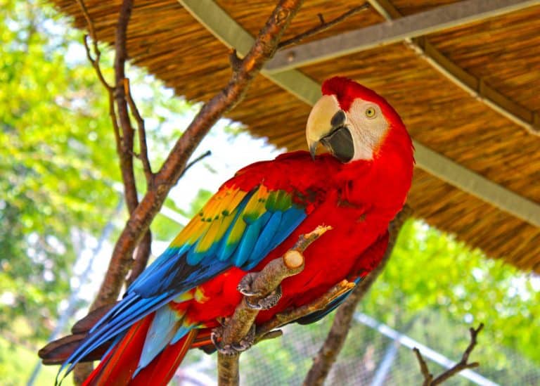 Tanganyika Wildlife Park