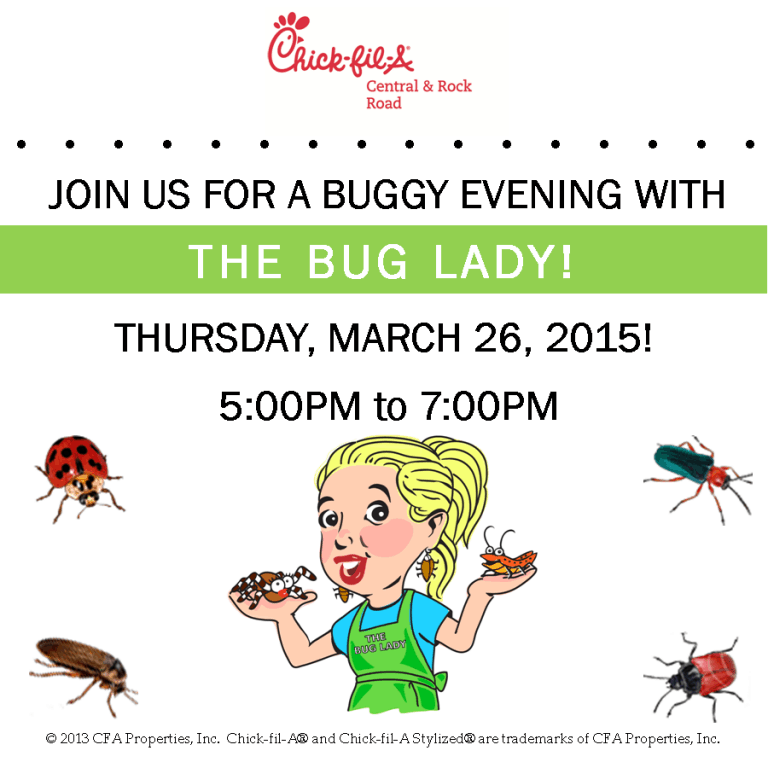 The-Bug-Lady