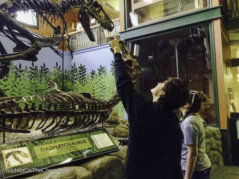 dinosaur fossils at Museum of World Treasures