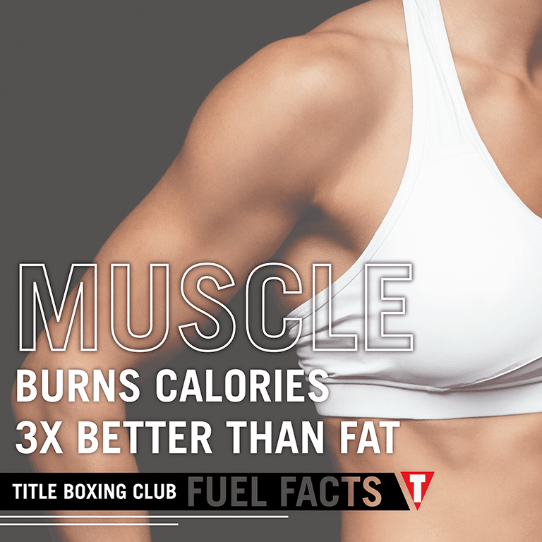"Muscle burns calories 3x better than fat." Title Boxing Club in Wichita
