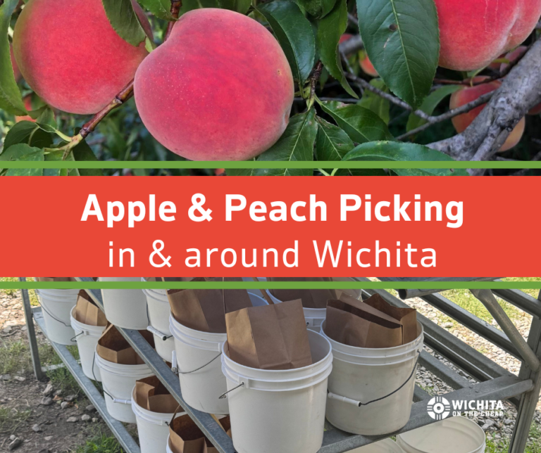 Apple & Peach Picking in Wichita