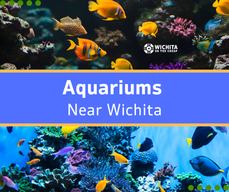 Aquariums Near Wichita