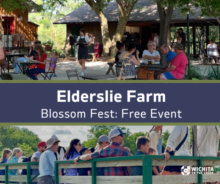 Blossom Fest Elderslie Farm