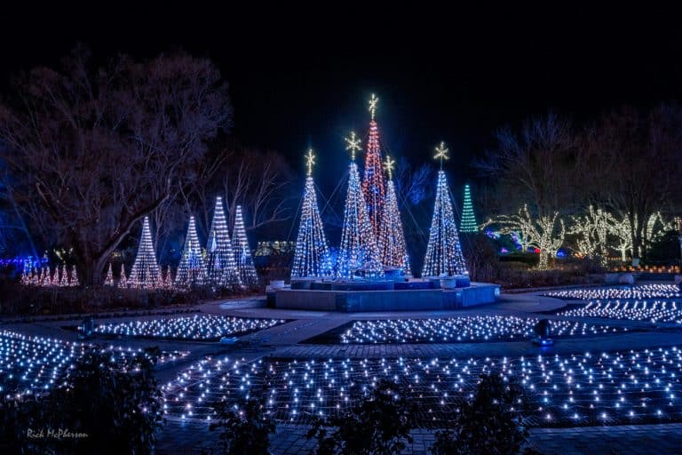 Blue lights at Botanica Illuminations