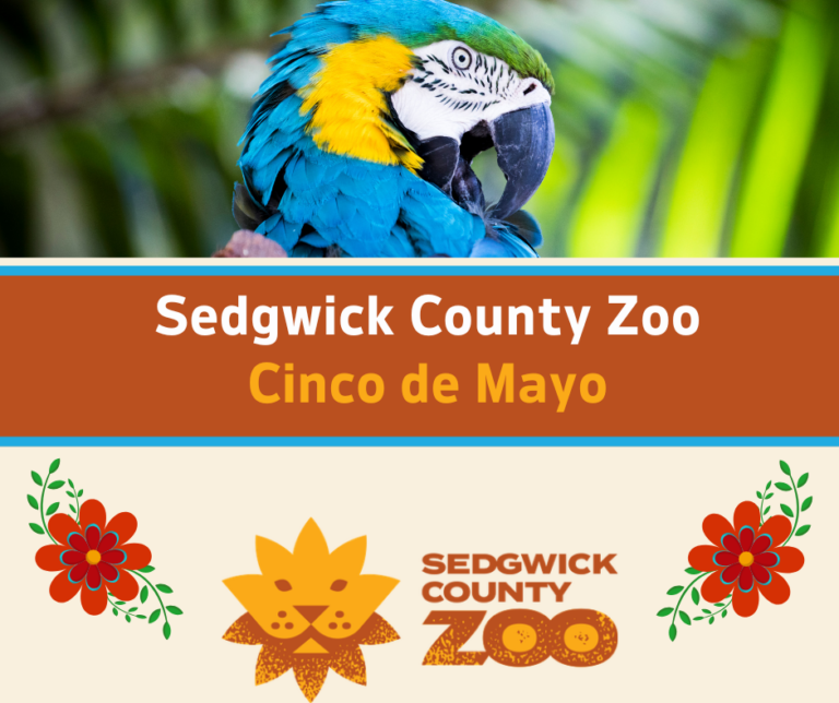 Cinco de Mayo Zoo