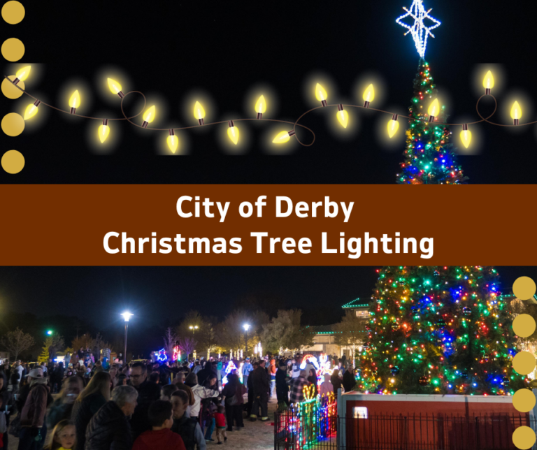 City-of-Derby-Christmas-Tree-Lighting-