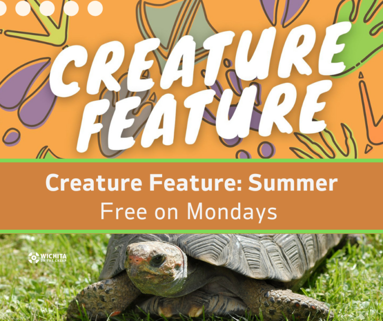 Creature Feature Summer