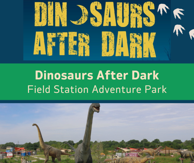 Dinosaurs-After-Dark-in-Derby-