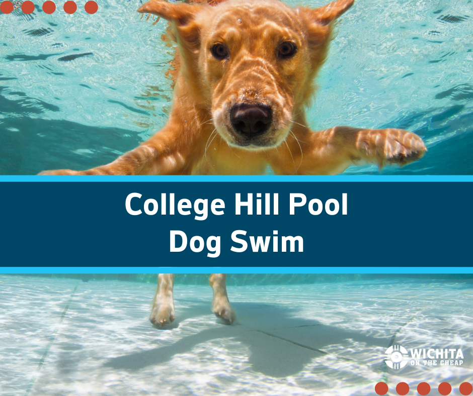 College Hill Pool Dog Swim: Dog Days of Summer
