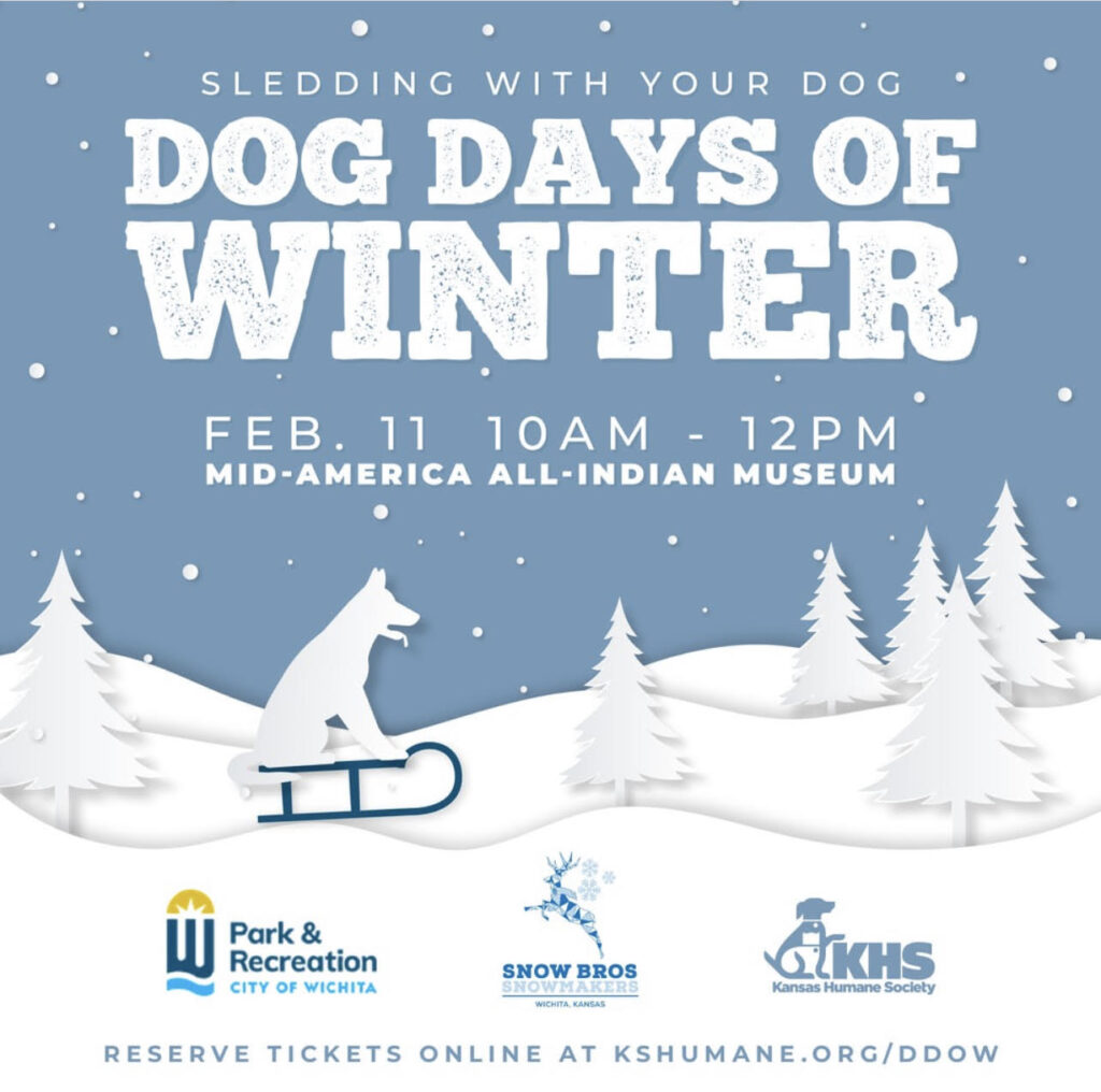 Dog Days of Winter Sledding with your Dog