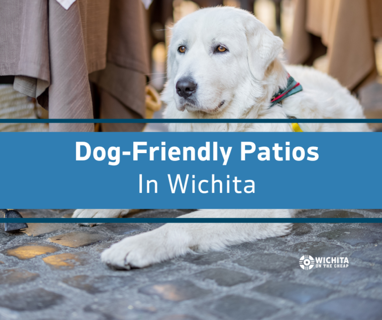 Dog Friendly Patios in Wichita