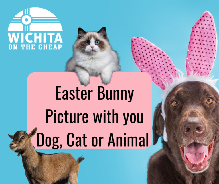 Easter Bunny Animal Photo