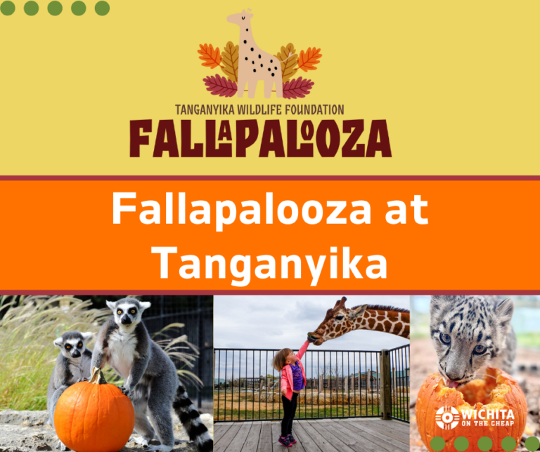 Fallapalooza Tanganyika Graphic