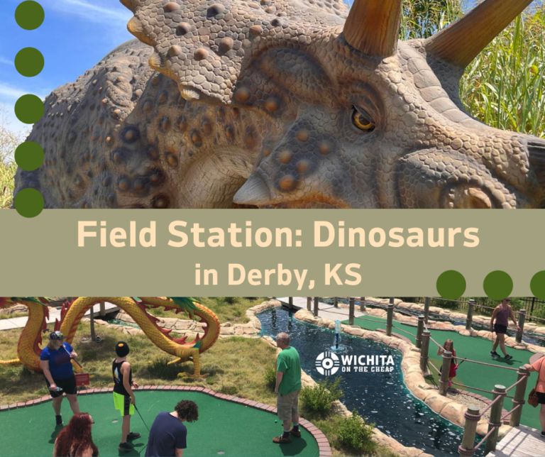 Field Station Dinosaurs Derby