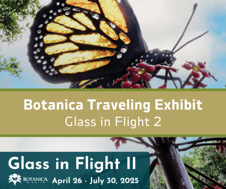 Glass in Flight Exhibit