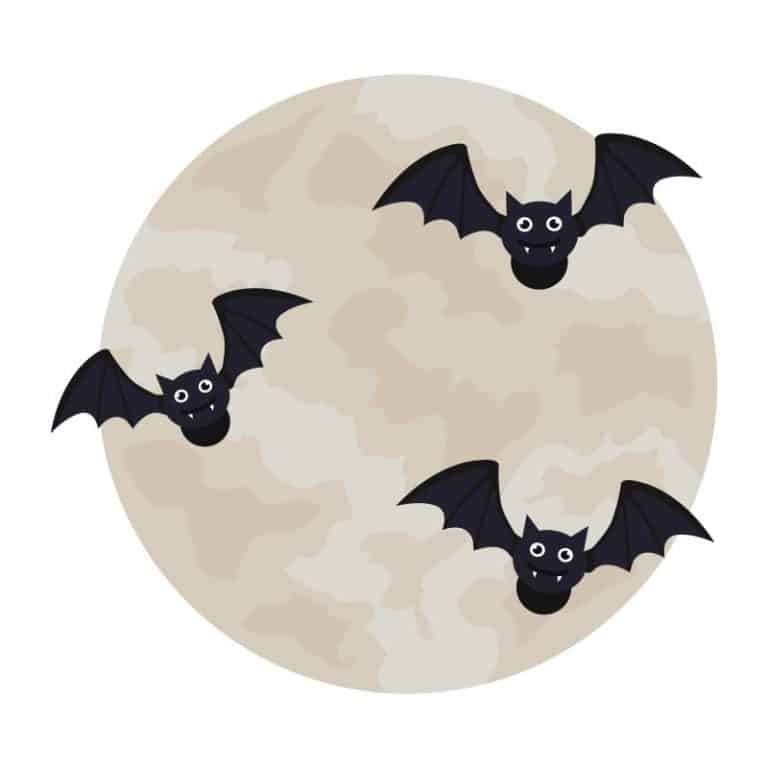 Hallowen bats DP
