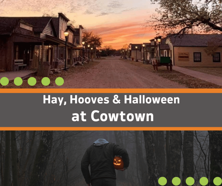 Hay Hooves Cowtown