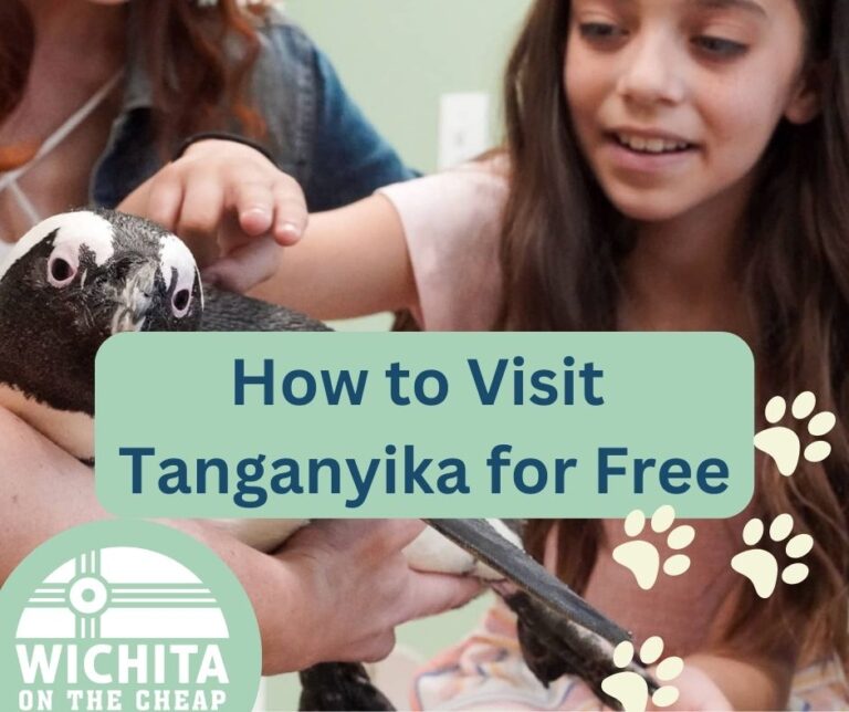 How to go to Tanganyika for Free