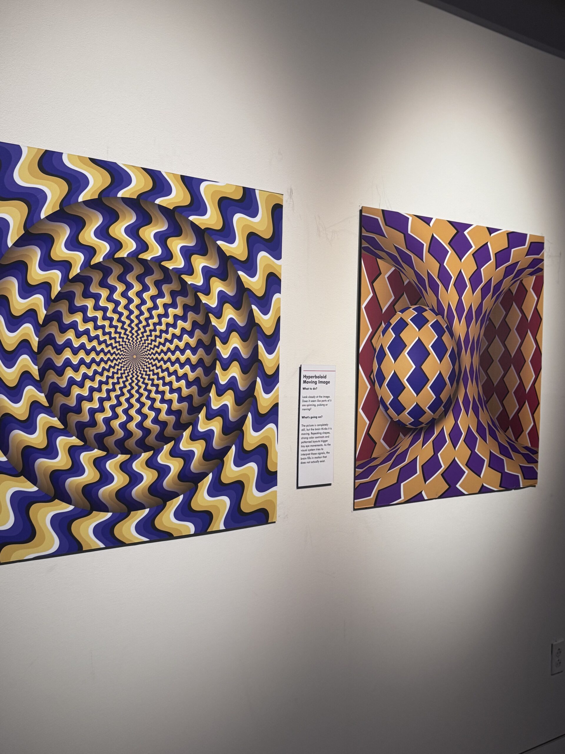 Exploration Place Newest Traveling Exhibit: Illusions 2026