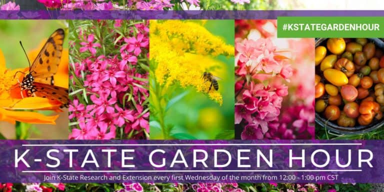 k state garden hour 2022 series lunch webinar online