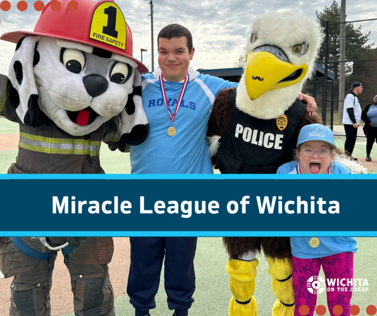 Miracle League Graphic