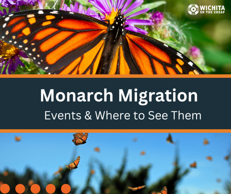 Monarch Migrations and Events