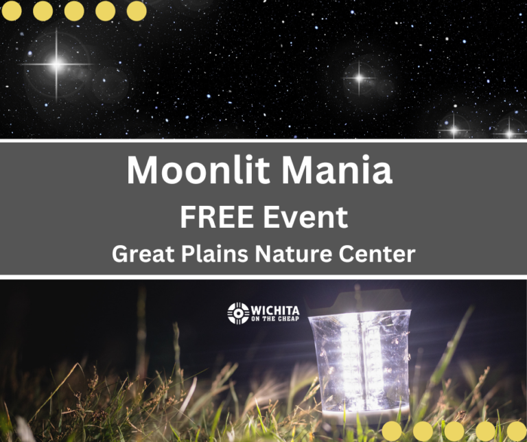 Moonlit-Mania-