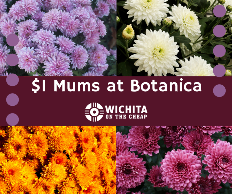 Mum Sale at Botanica