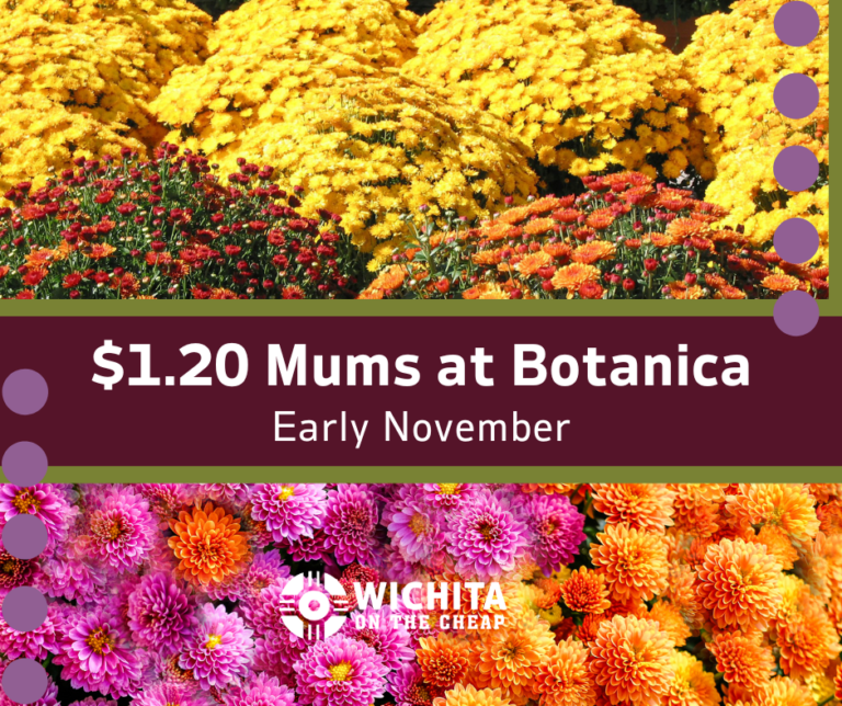 Mum sale Botanica $1