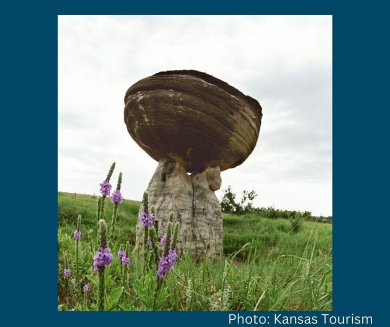 Mushroom Rock State Park