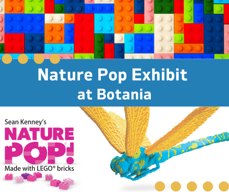 Nature-Pop-at-Botanica-