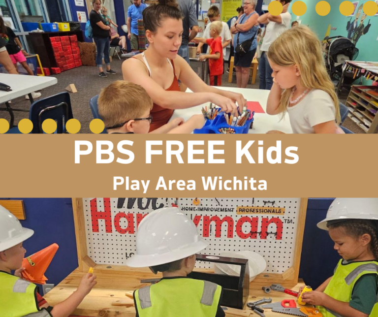 PBS-Kids-Play-Area-