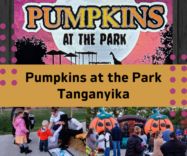 Pumpkins at the Park Tanganyika