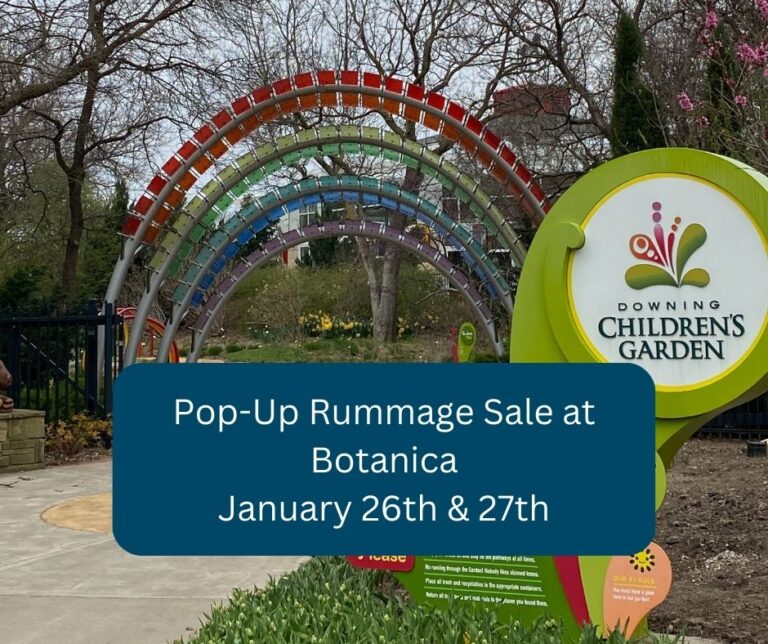 Rummage Sale Botanica