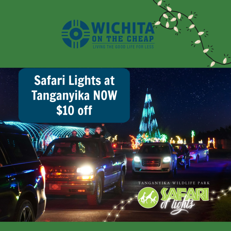 Safari Lights