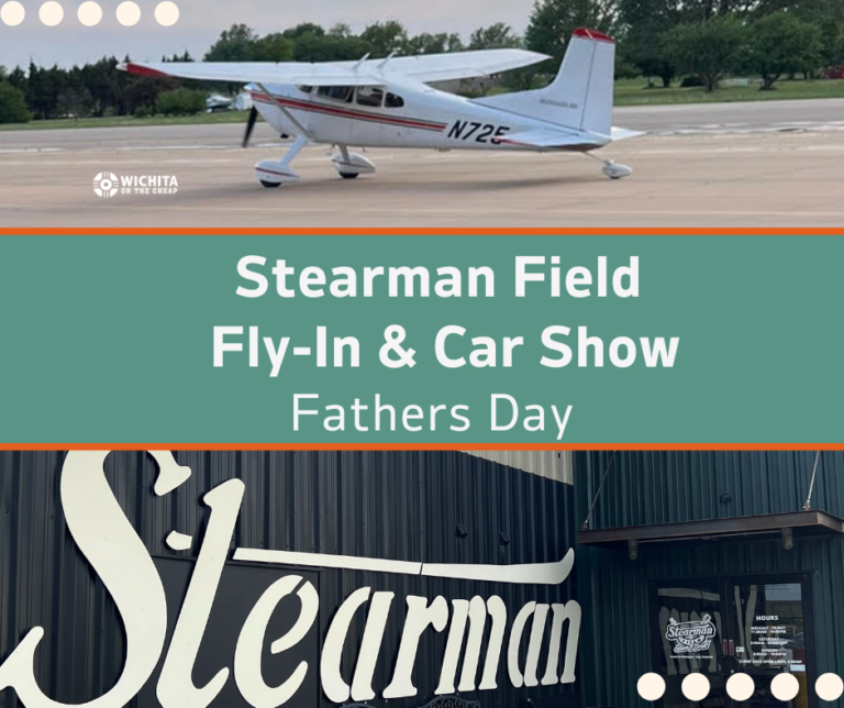 Stearman Fly In Fathers Day