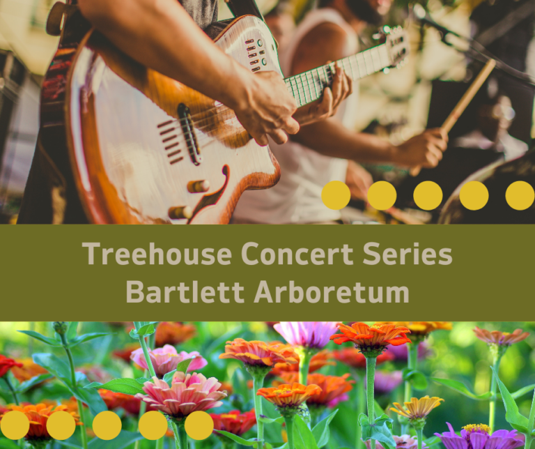 Treehouse Concert Series at the Arb