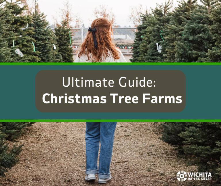 Ultimate guide Christmas Tree FARM