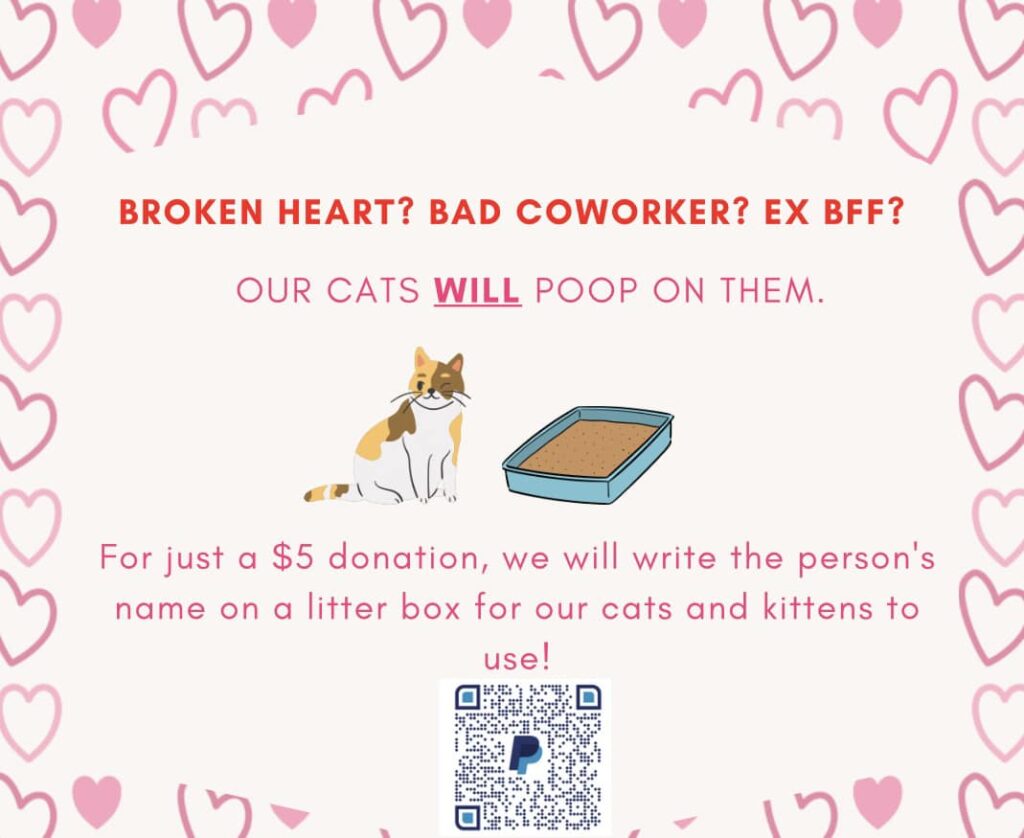 Valentines Day Cat