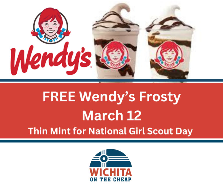 Wendys National Girl Scout Day Frosty