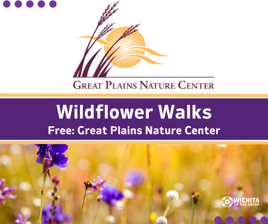 Wildflower Walks at Great Plains Nature Center: Free