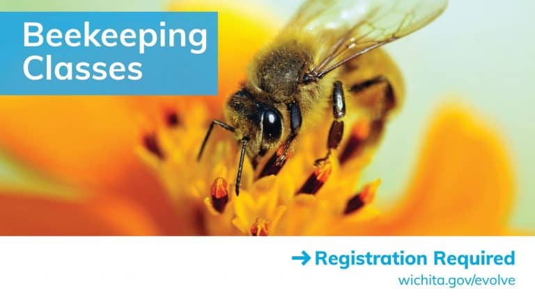 beekeeping classes Wichita
