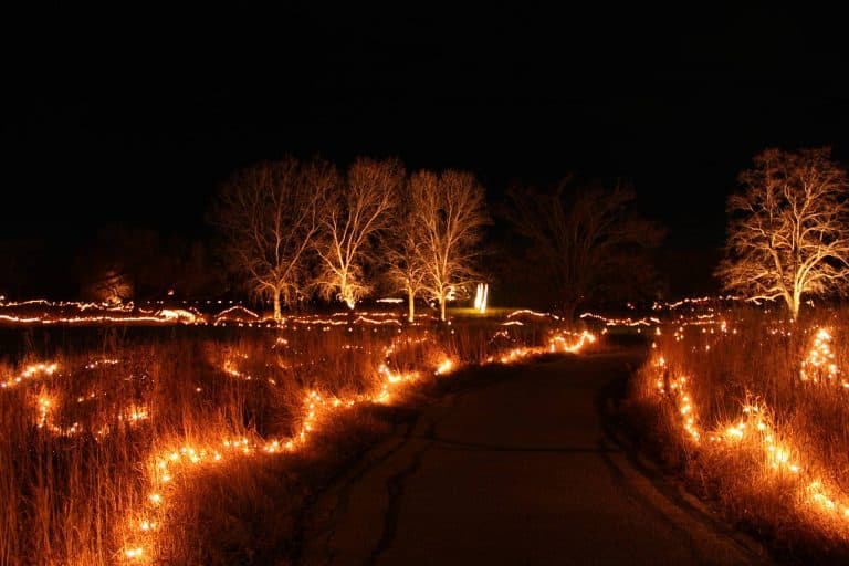 Winter luminaries lighting up Dyck Arboretum in Hesston KS