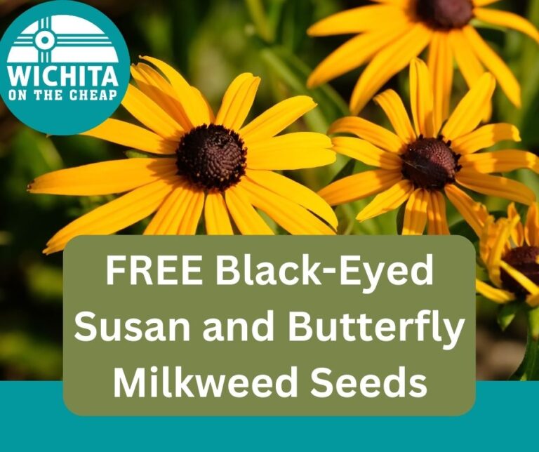 free Milkweed and Black-eyed susans