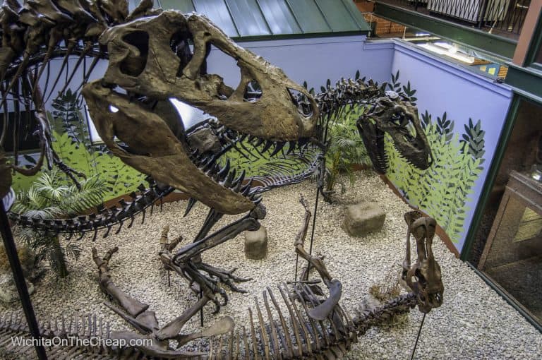 Museum of World Treasures Dinosaurs