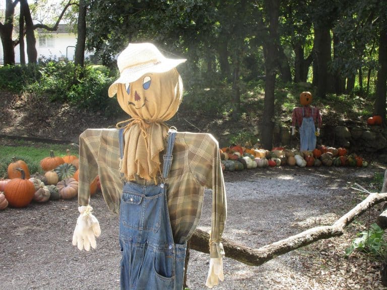Walters Pumpkin Patch scarecrow - opening weekend admission discount