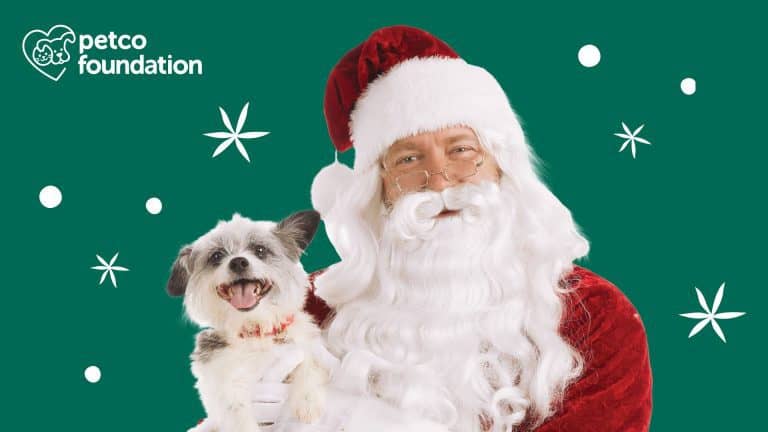 petco pet family pictures with santa