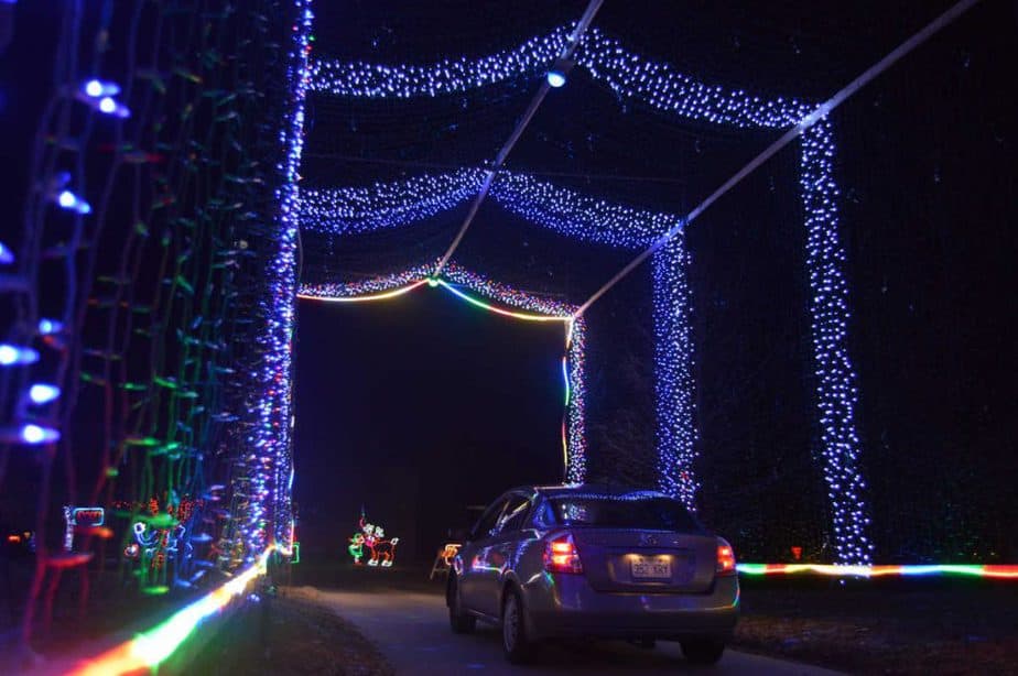 Lights at Ability Point formerly known as Arc's Lights on St. Paul